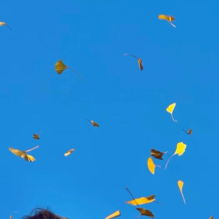 李老师🧑‍🏫