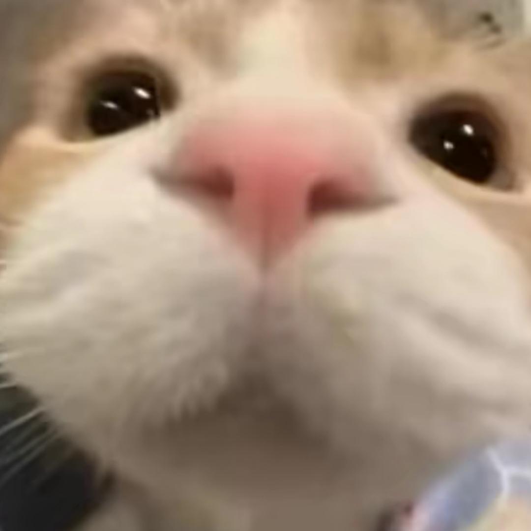 -梓 意♡