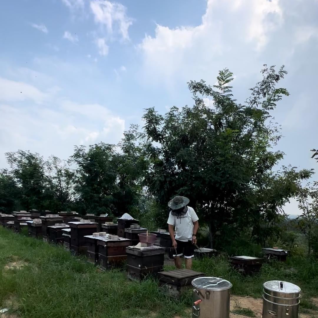 甜蜜万家深山土蜂蜜