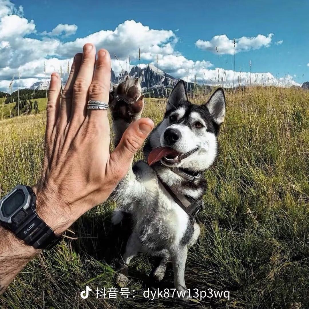 一点多