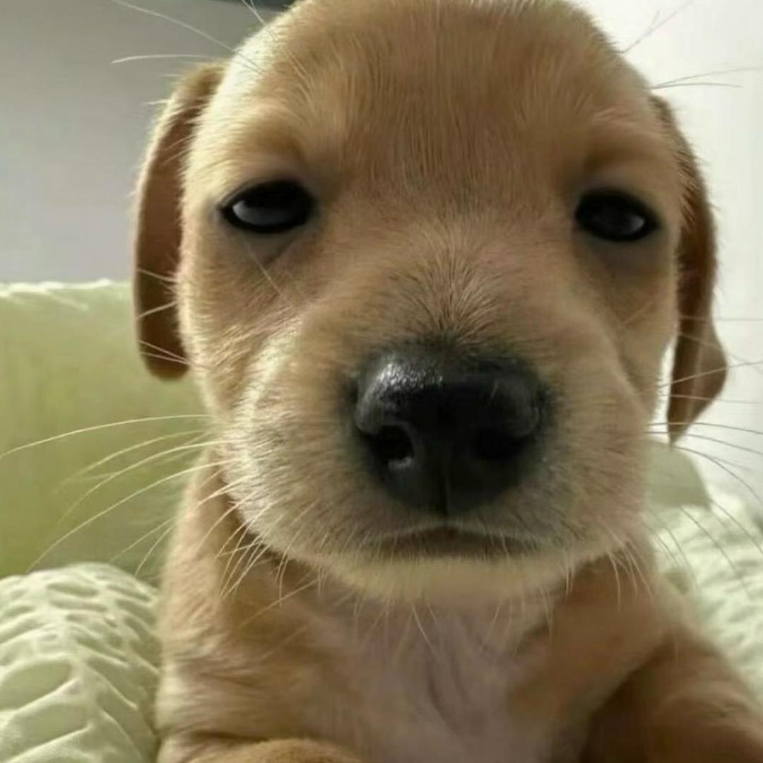🤪