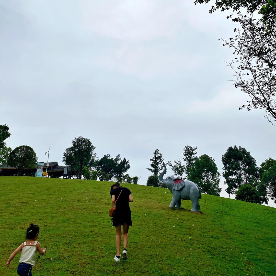 ZHANGTING