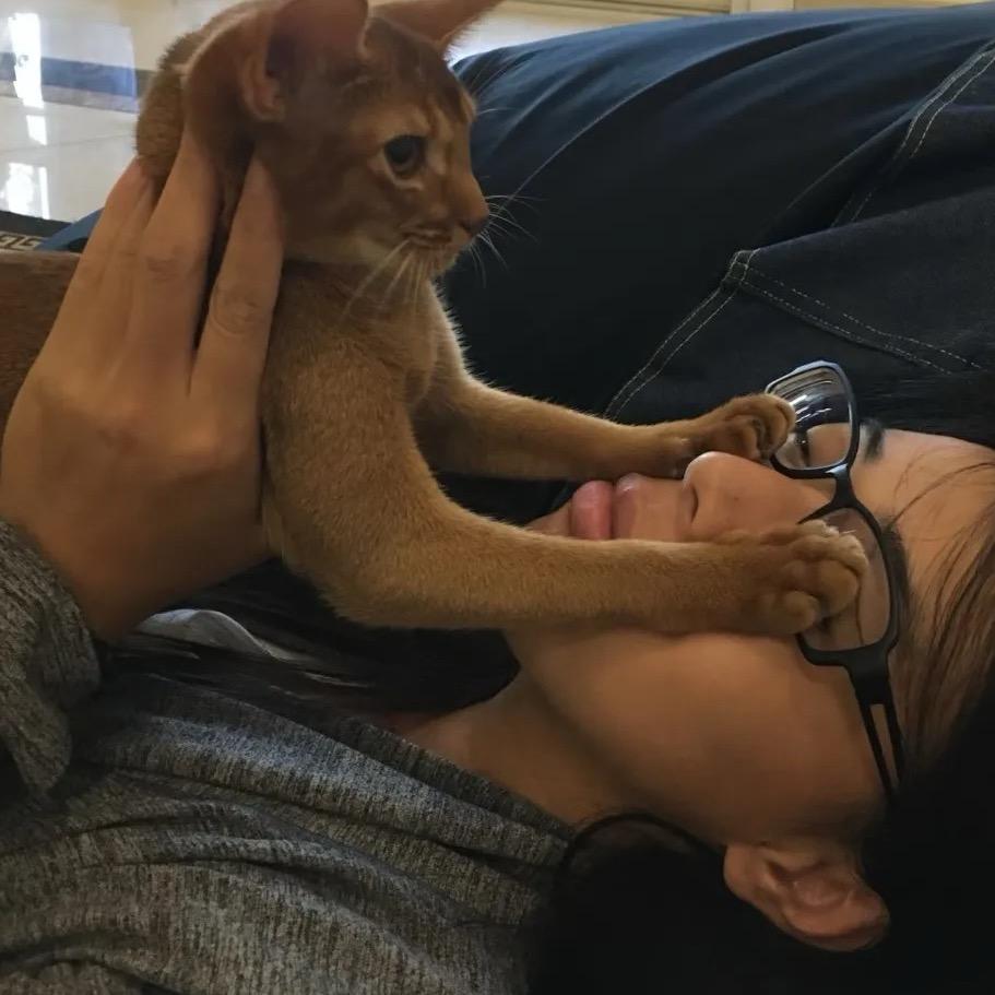 我吃大葱不蘸酱.