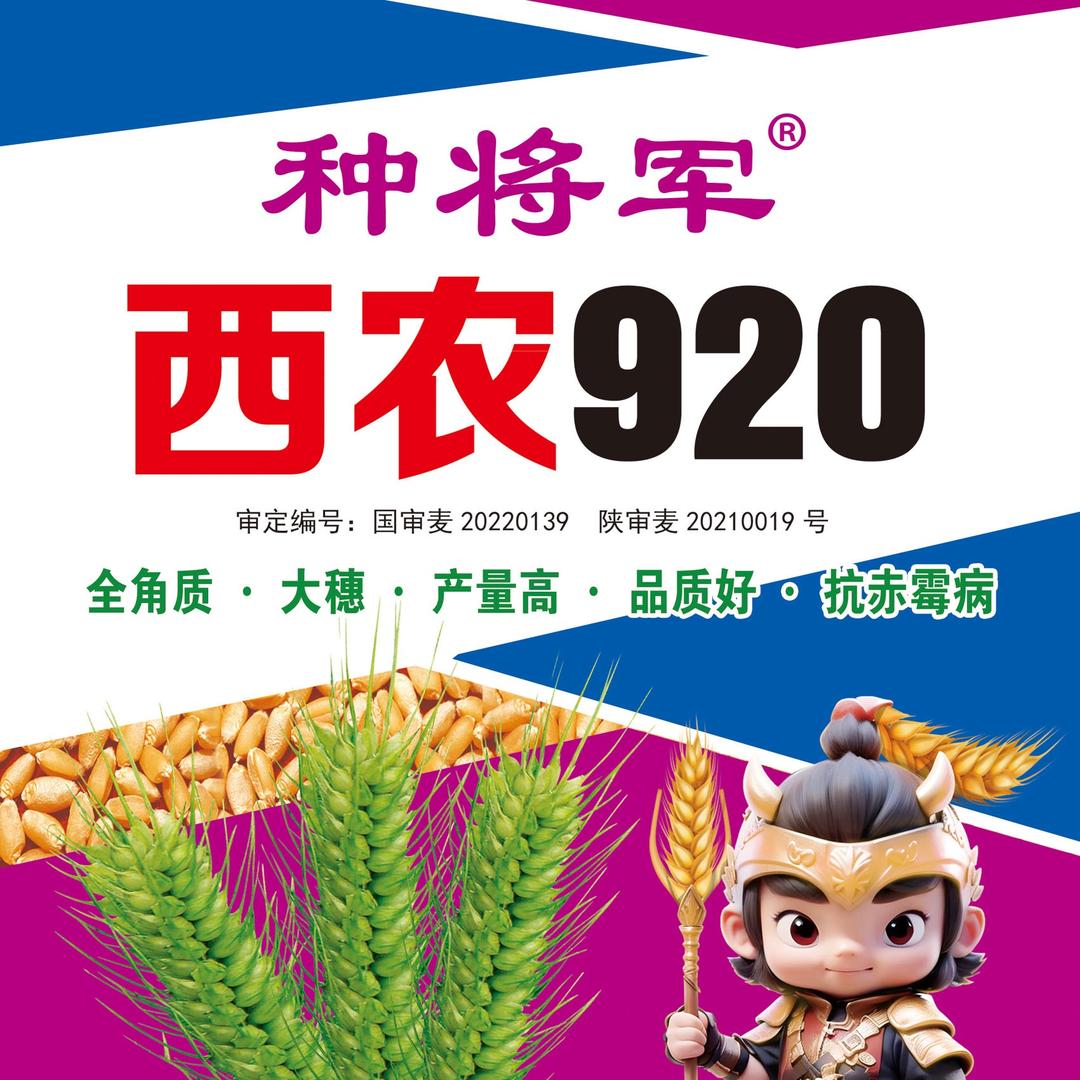 国审西农920厂家直销