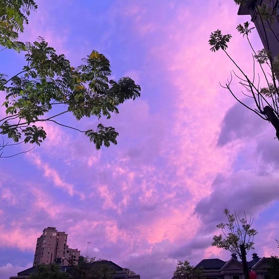 一王情深(好物分享)