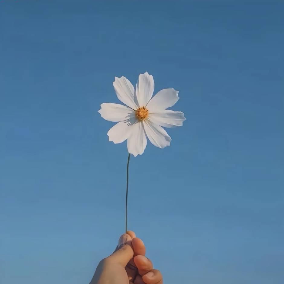 夏天🍃（自律版）