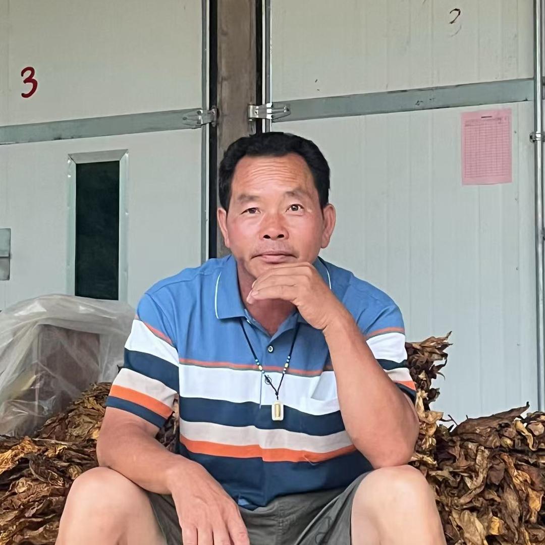 永不凋零的格桑花