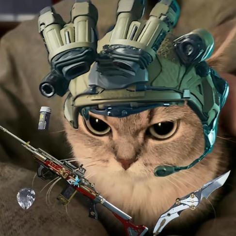 自由的小羊（三角洲无敌大肘子版）