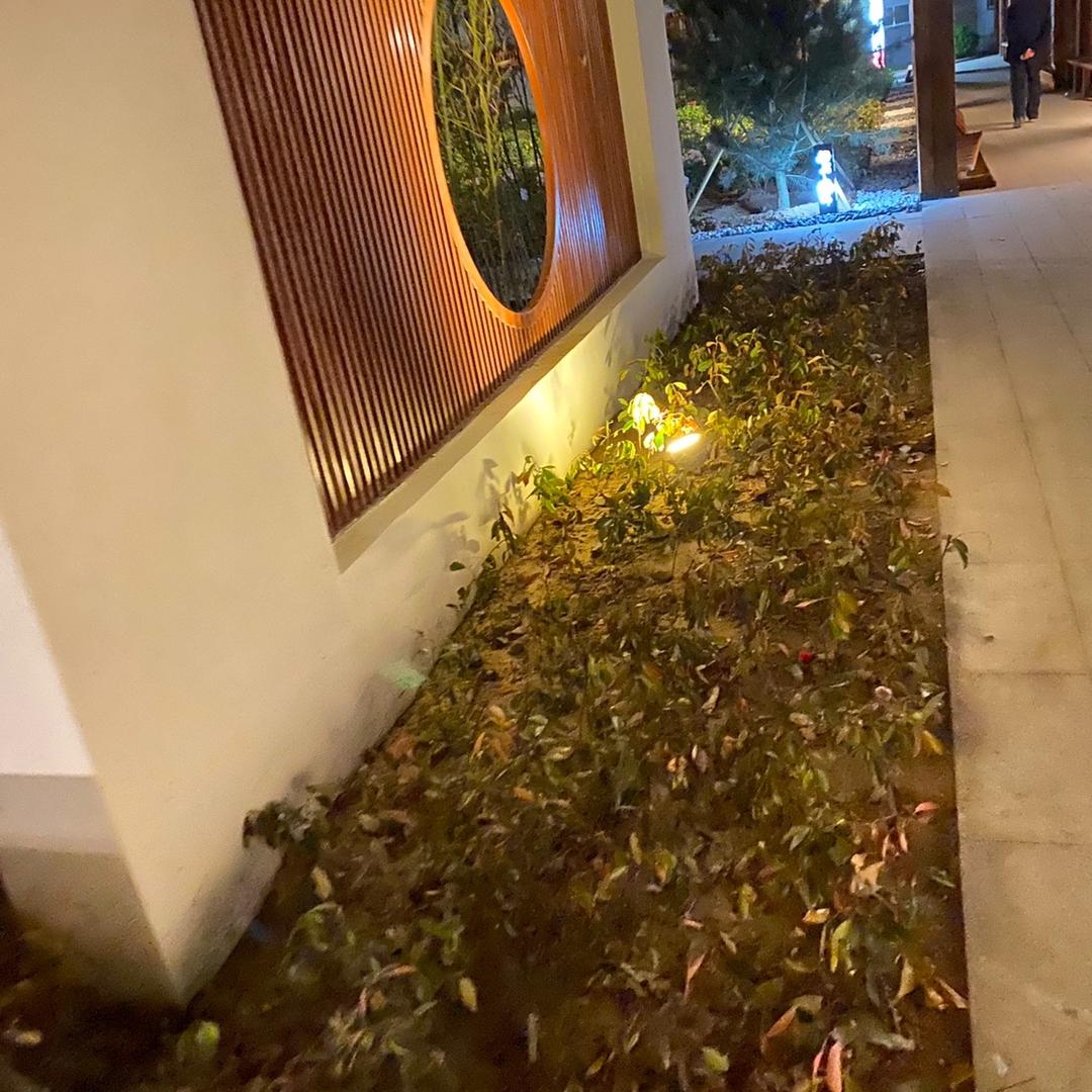 每一天