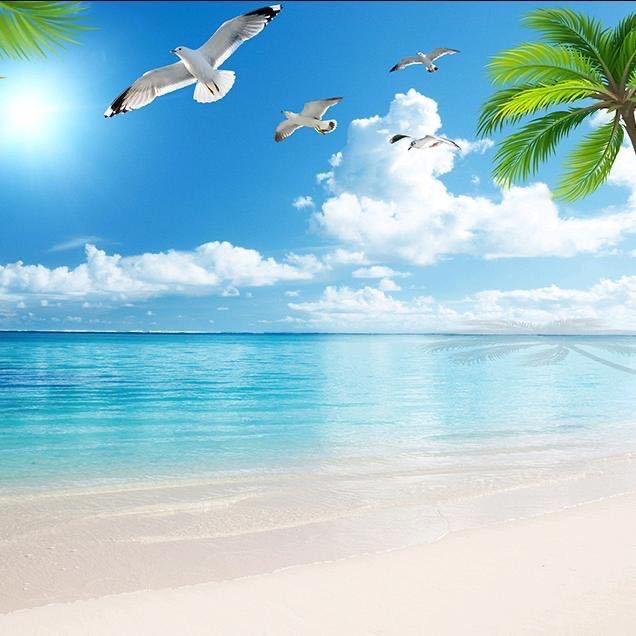 啊婷姐靰鞡草鞋业