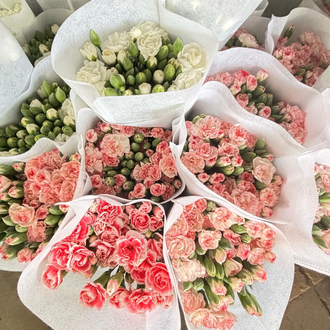 云溪花卉