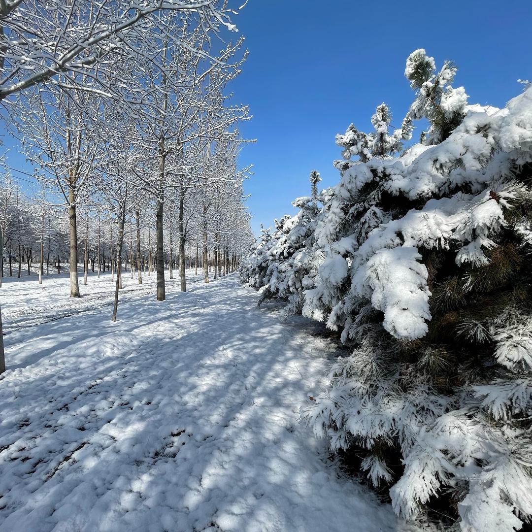 北京市亿企信企业管理有限公司