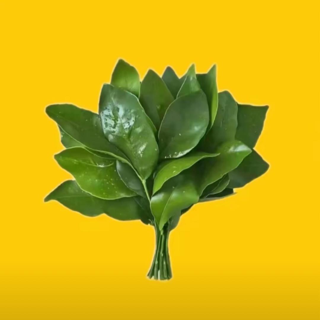 糖糖zhi