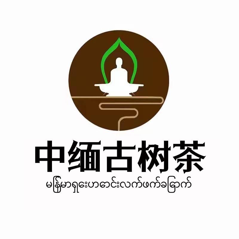 中缅边境源头收茶（八塔茶叶）