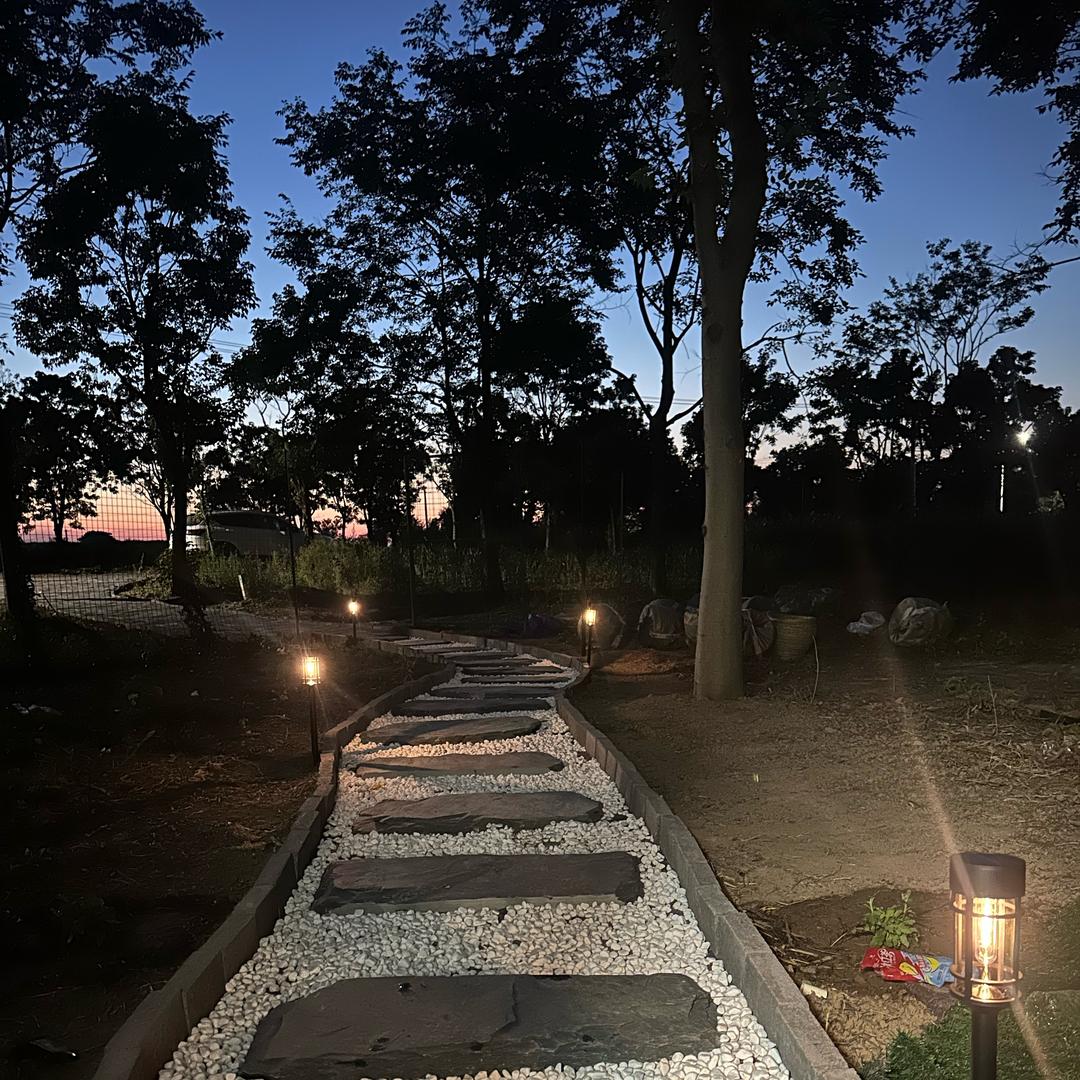 佑禽二毛林下散养鸡蛋