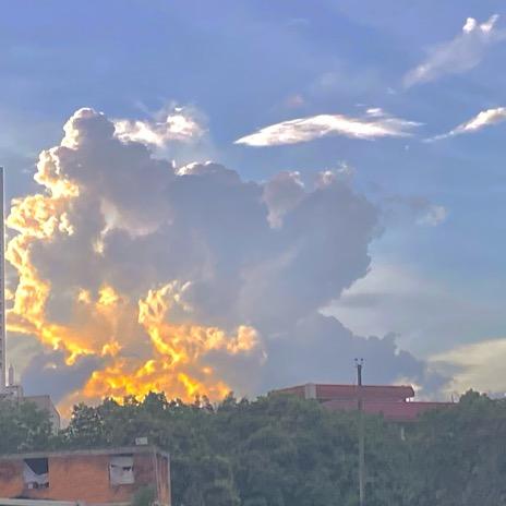 今天天气真好！