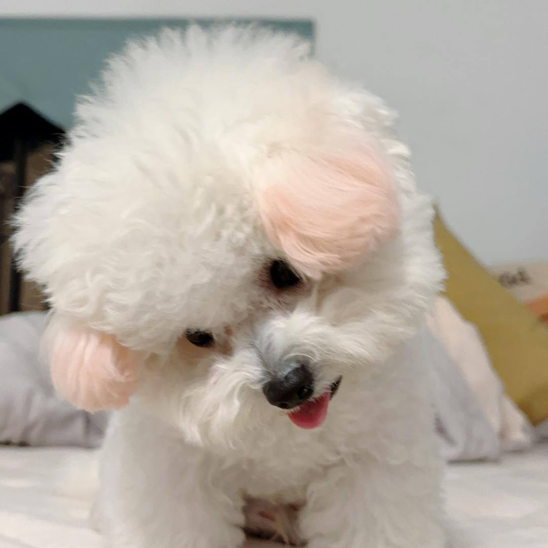呼啦呼啦