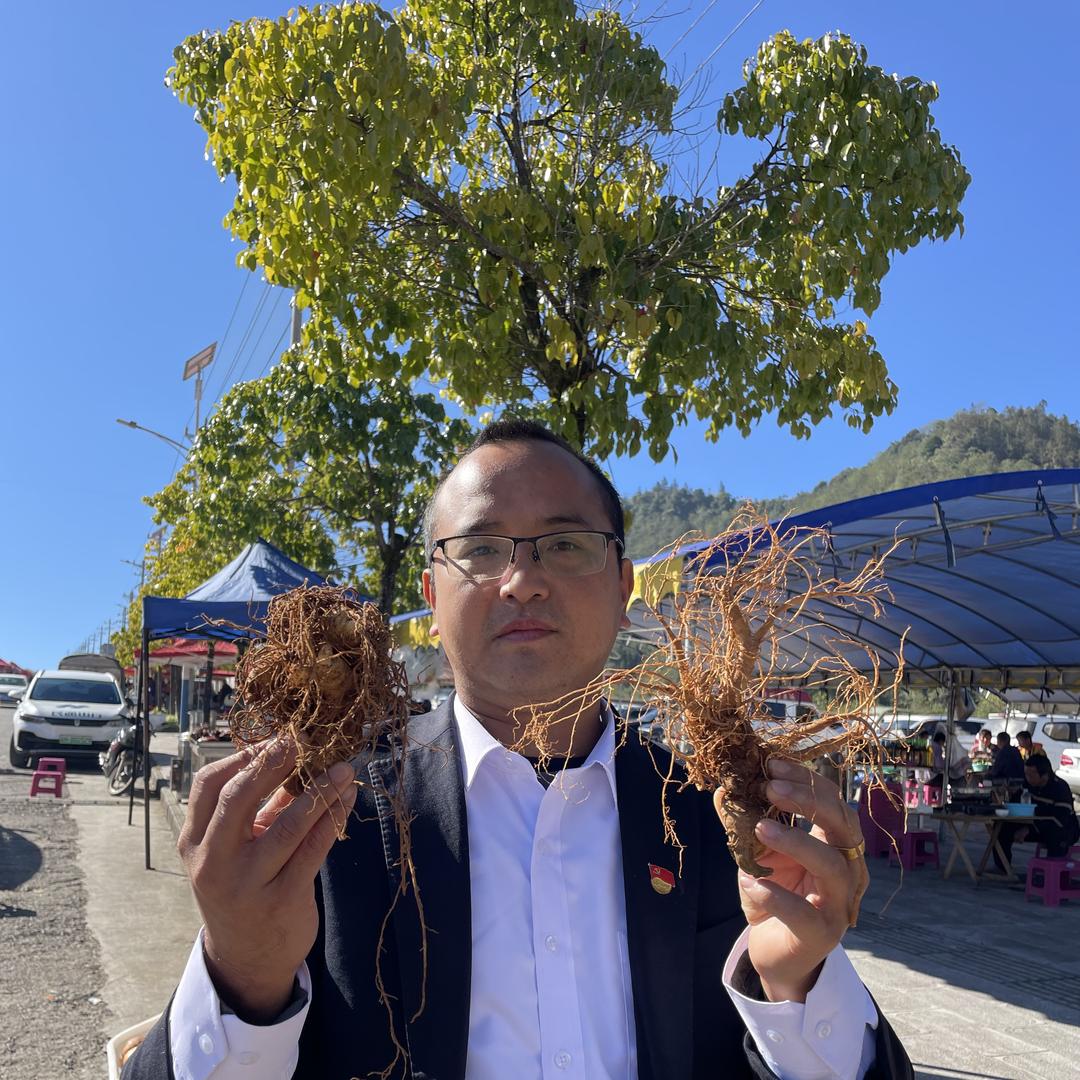 大山里的日子（小海）
