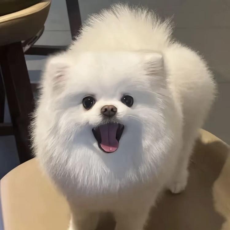 硕洋科技严选小铺
