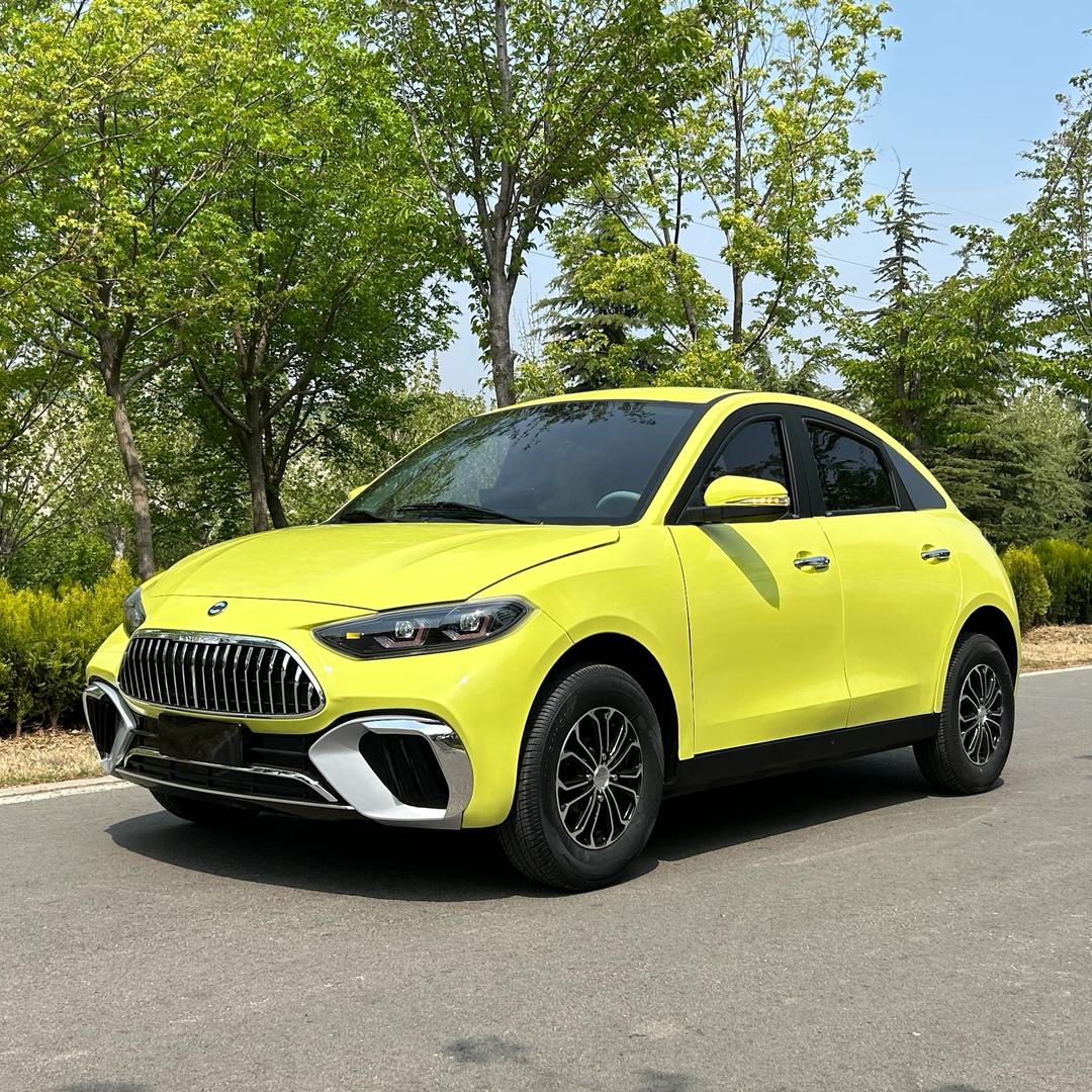 弘丰新能源代步车工厂