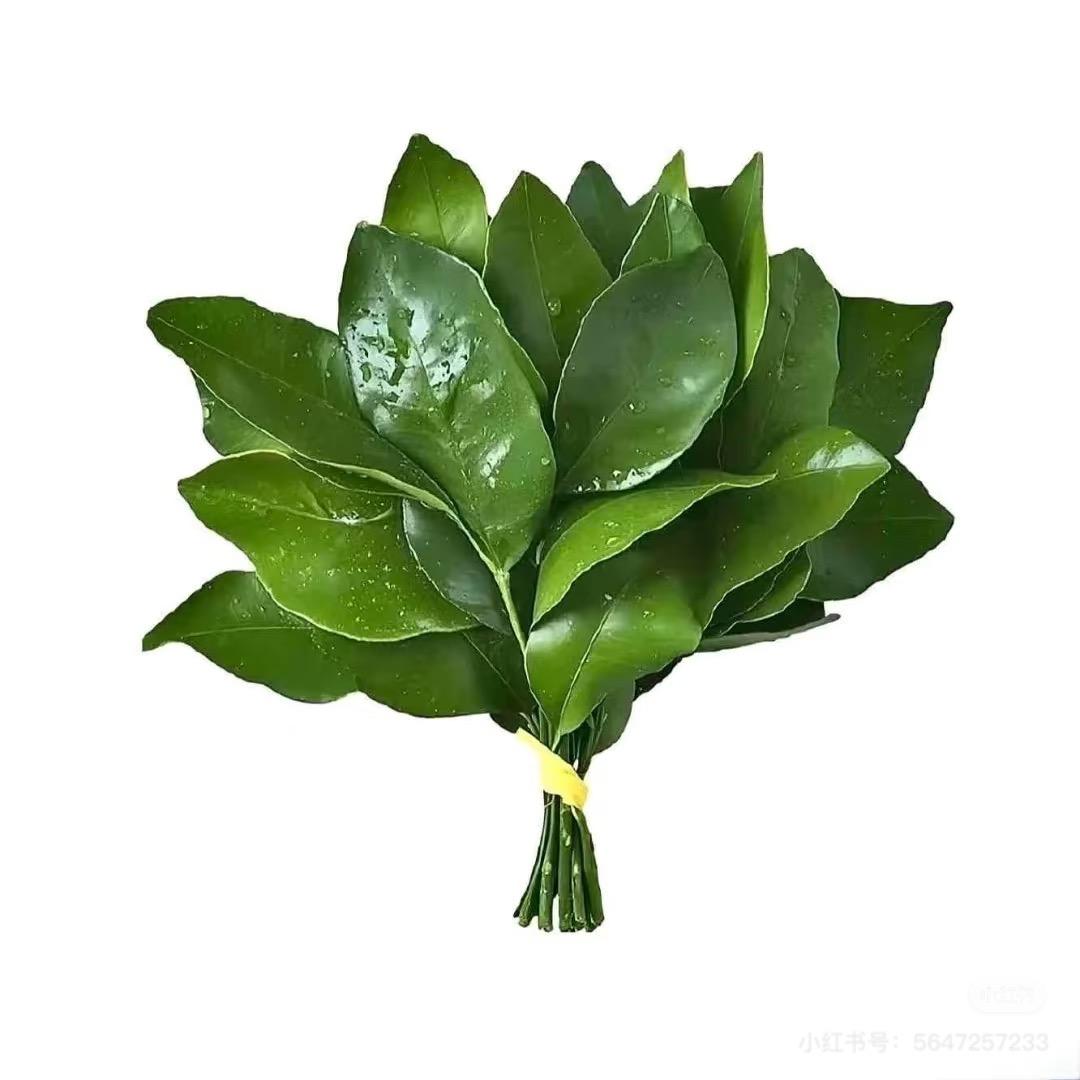 🍍小叮当