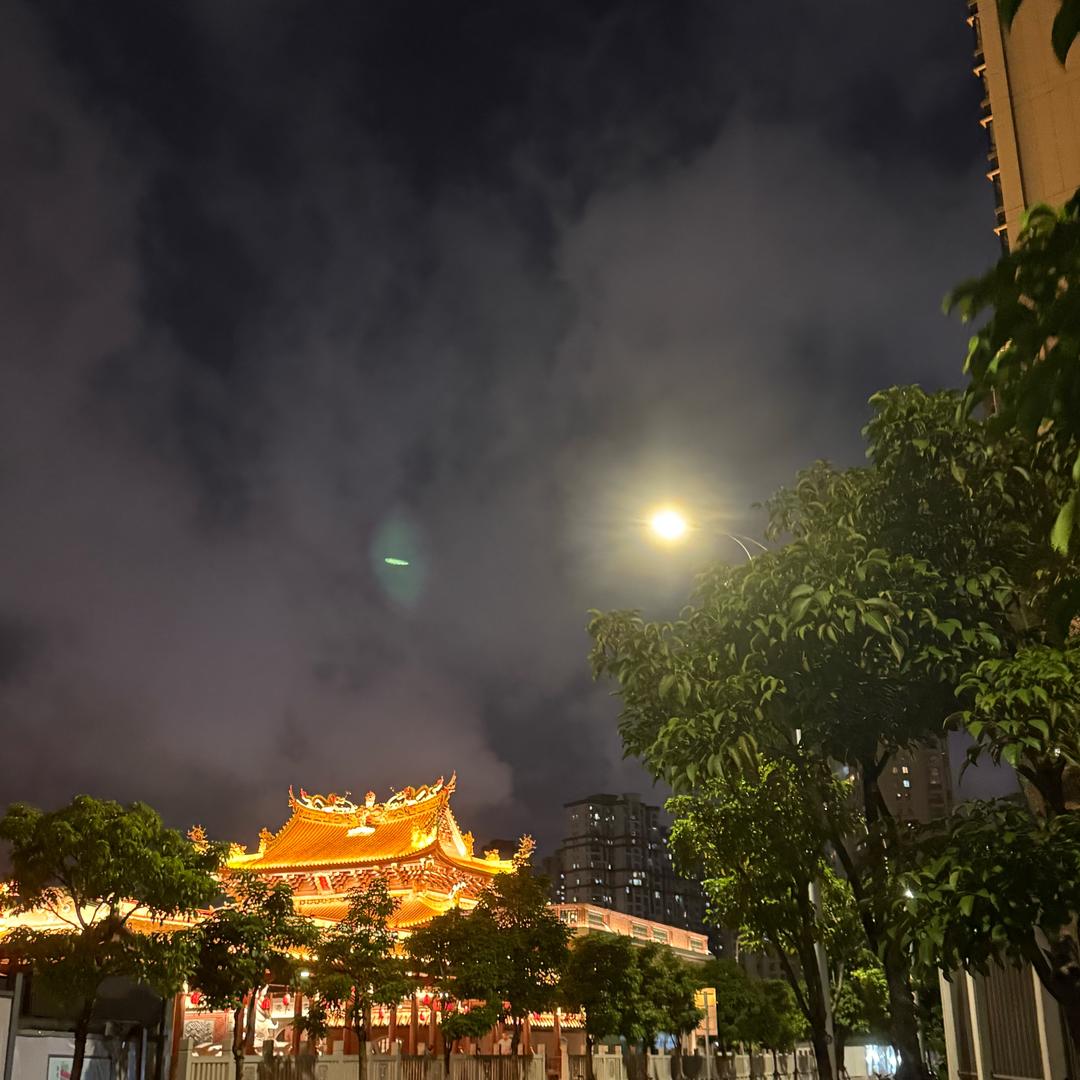 猫猫好物（锐）拓燕