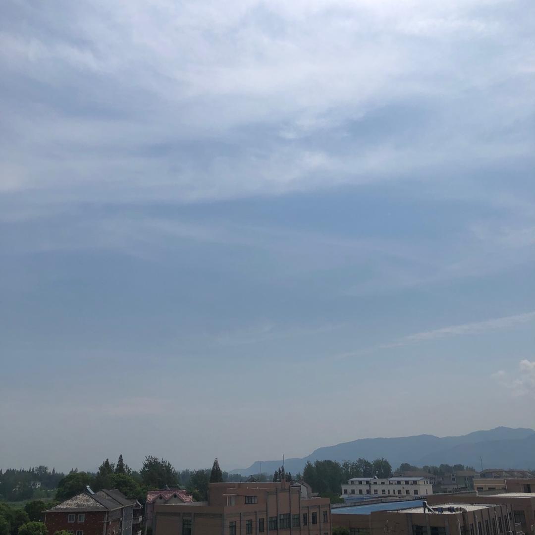 橙果果