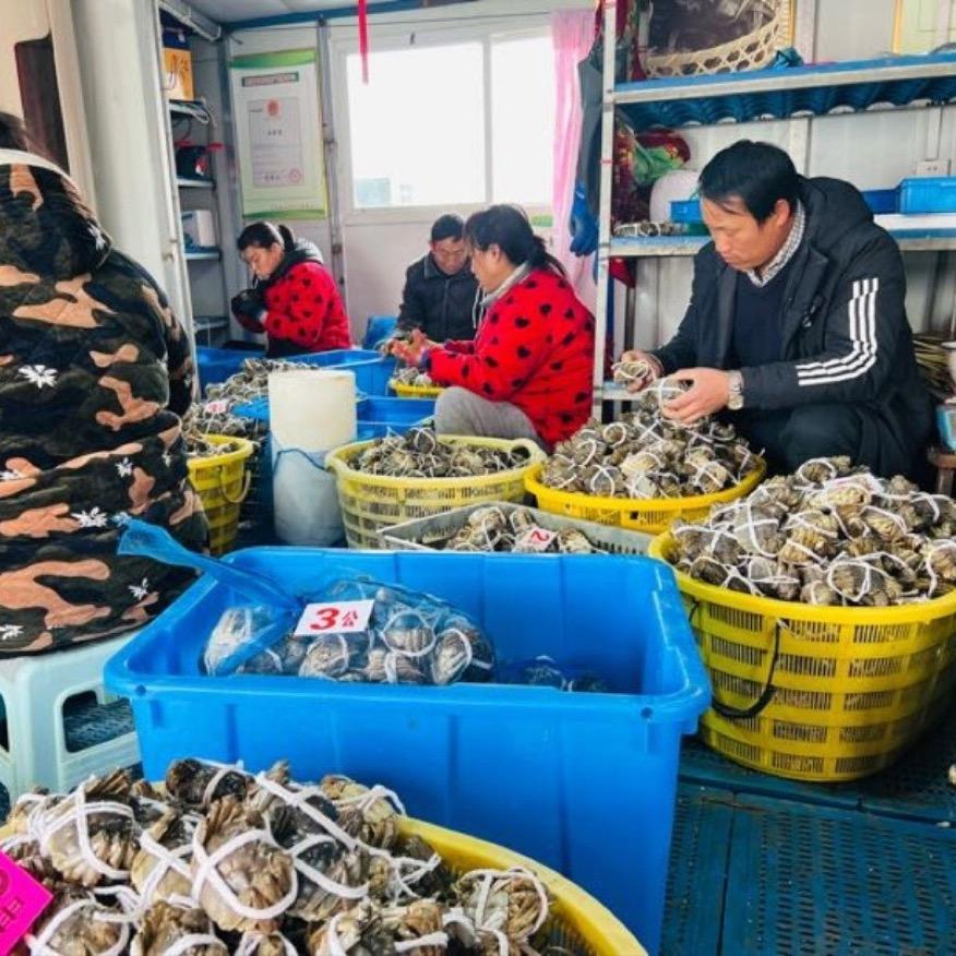 创业新农人段广玉