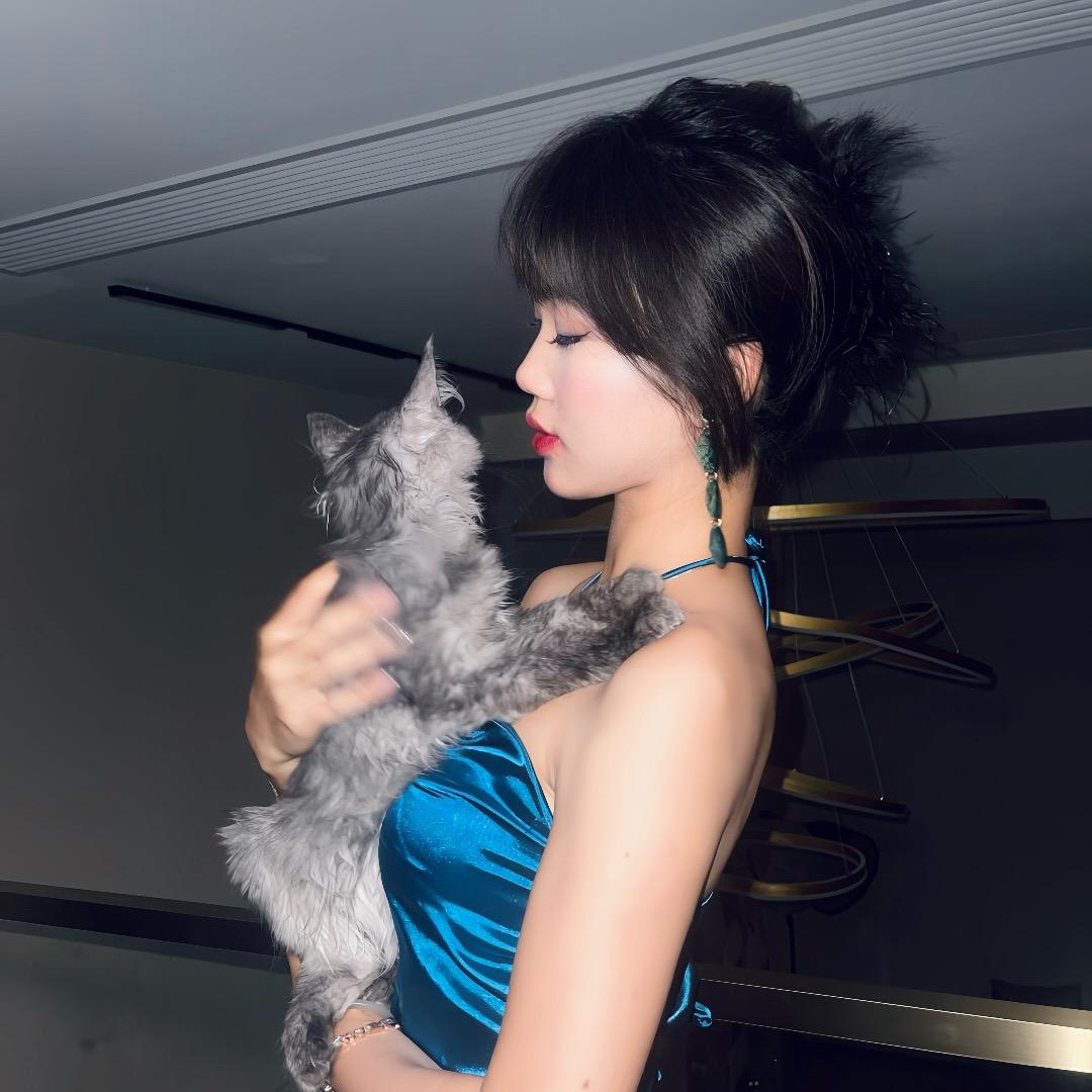 媛媛与猫