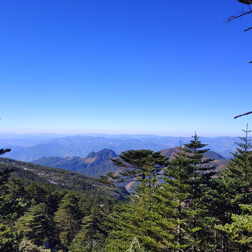 山冲人