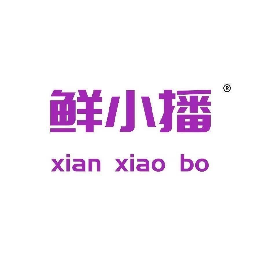 XIANXIAOBO_