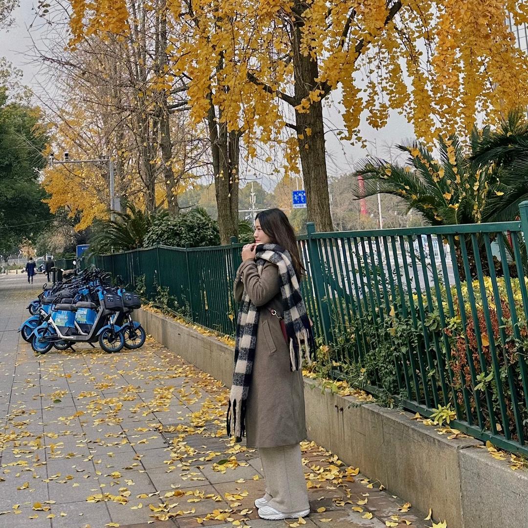 ziqing·