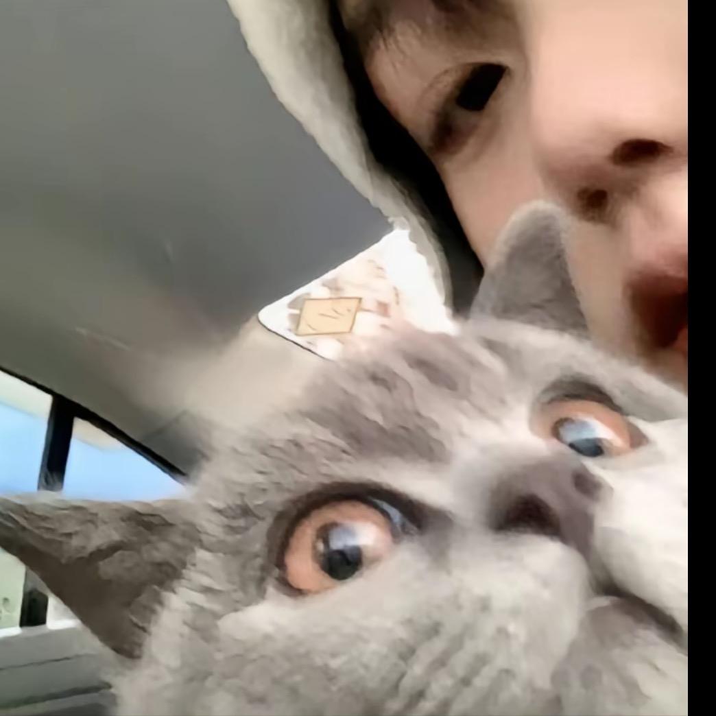 笑猫日记.