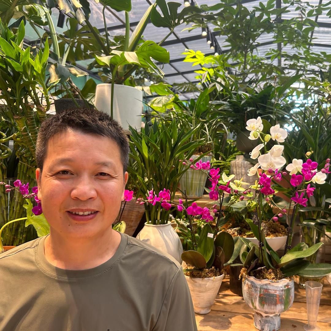 长沙鲜花绿植批发 老莫