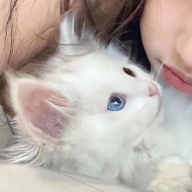 Kittyyyy