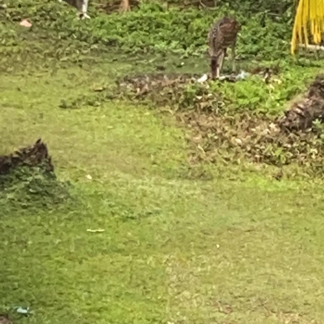 杰哥专营店账号