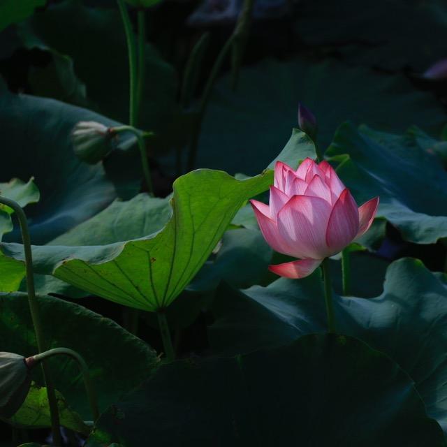 山河