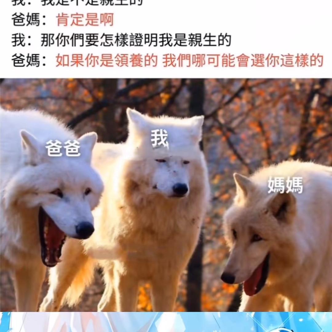 一口鸡汤毒断肠