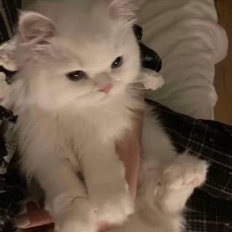 -潇·