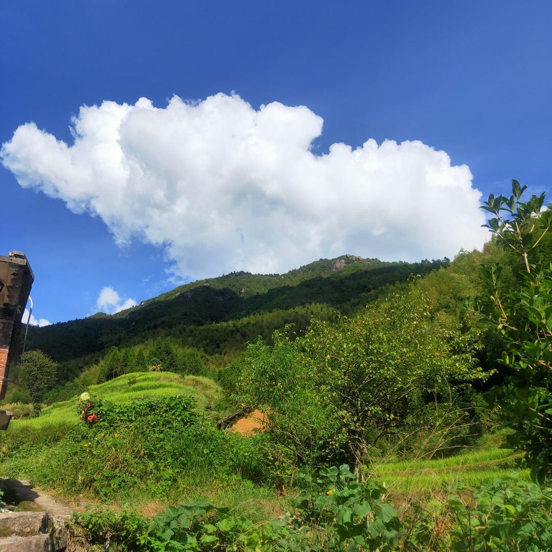 ～明明滴铭