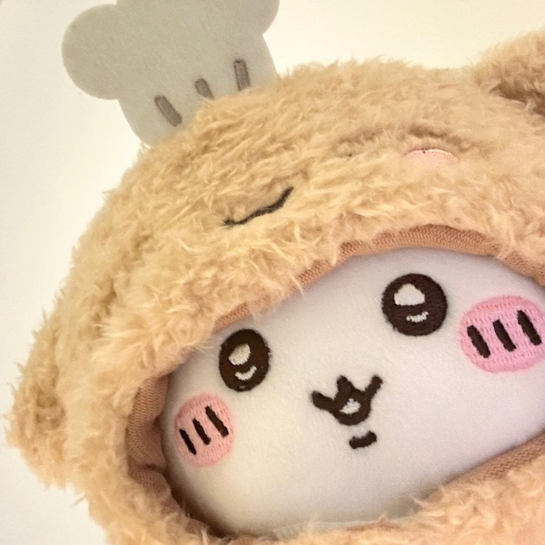 今天也想吃鱿鱼