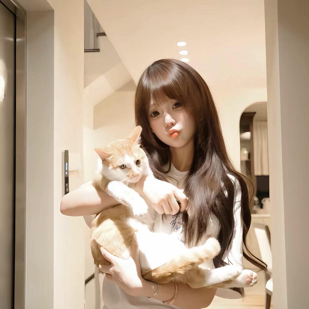 忧郁小猫咪