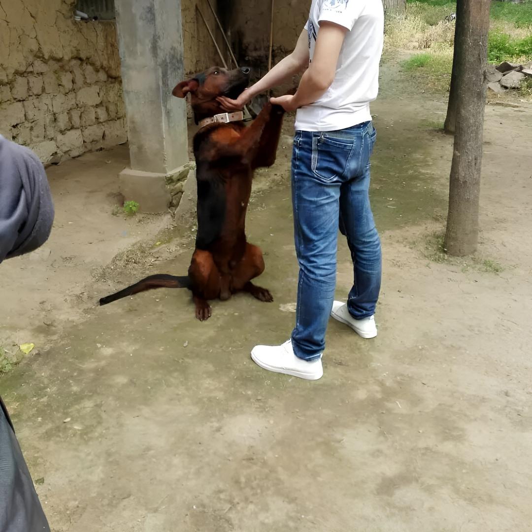 用户2784882