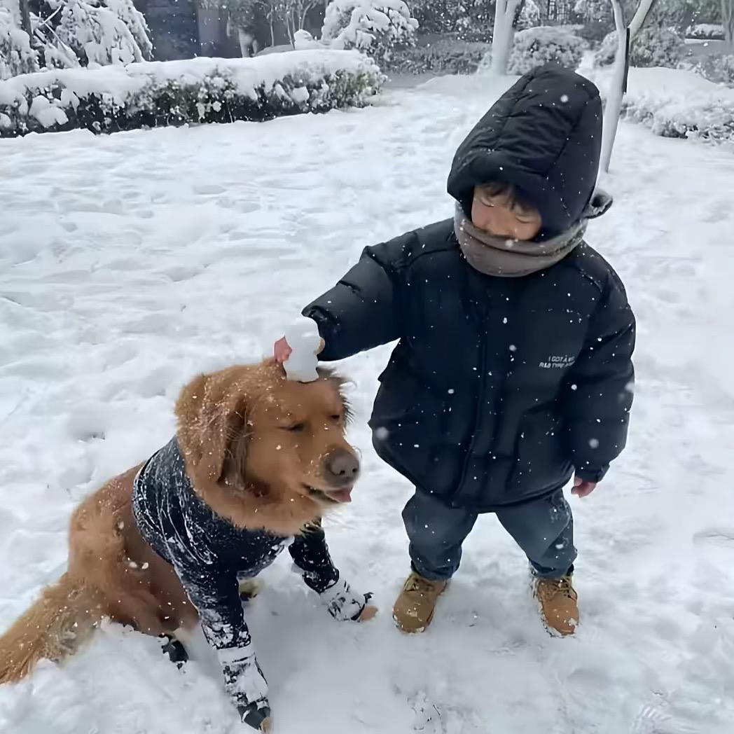 ㅤㅤㅤㅤ   ㅤ