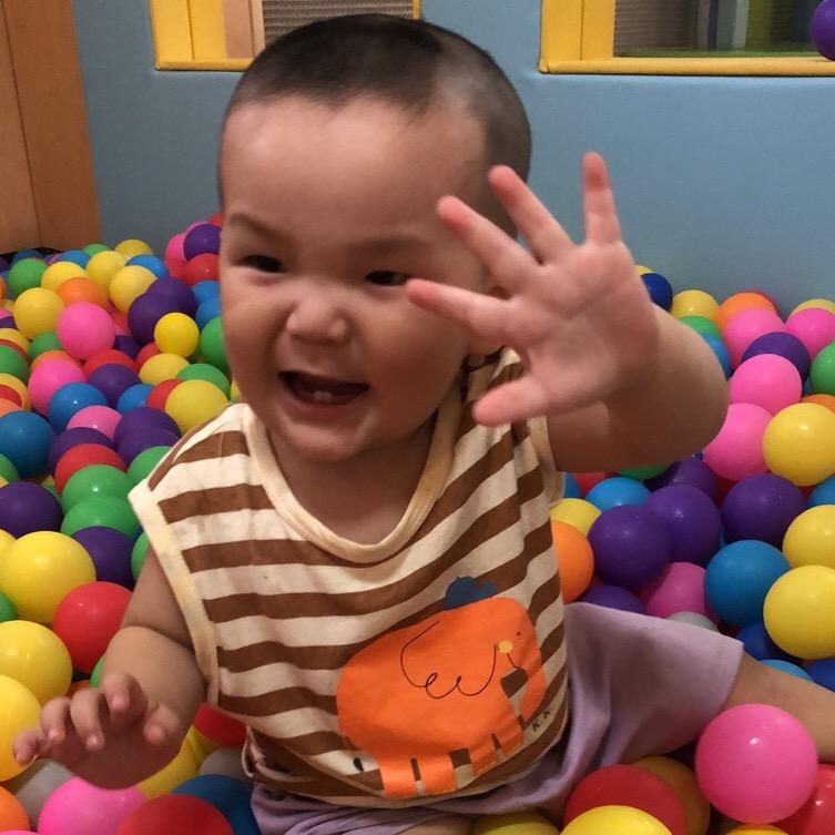 燕子