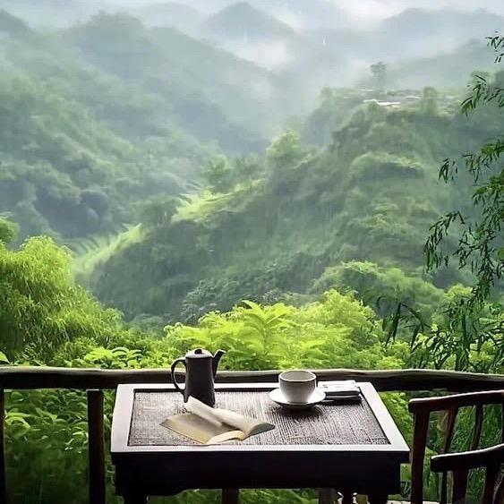 茶闲