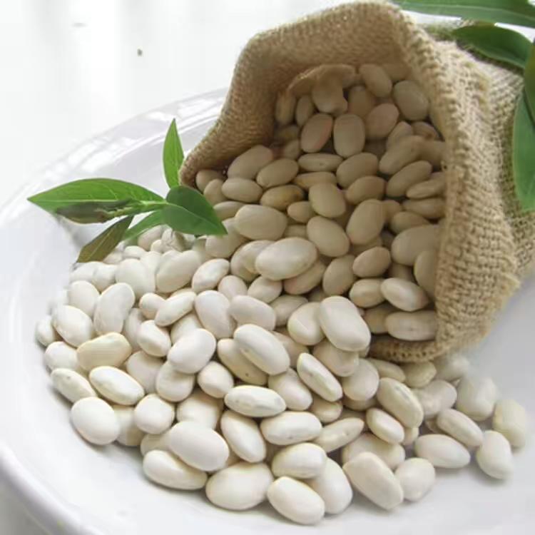 豆子好物优选