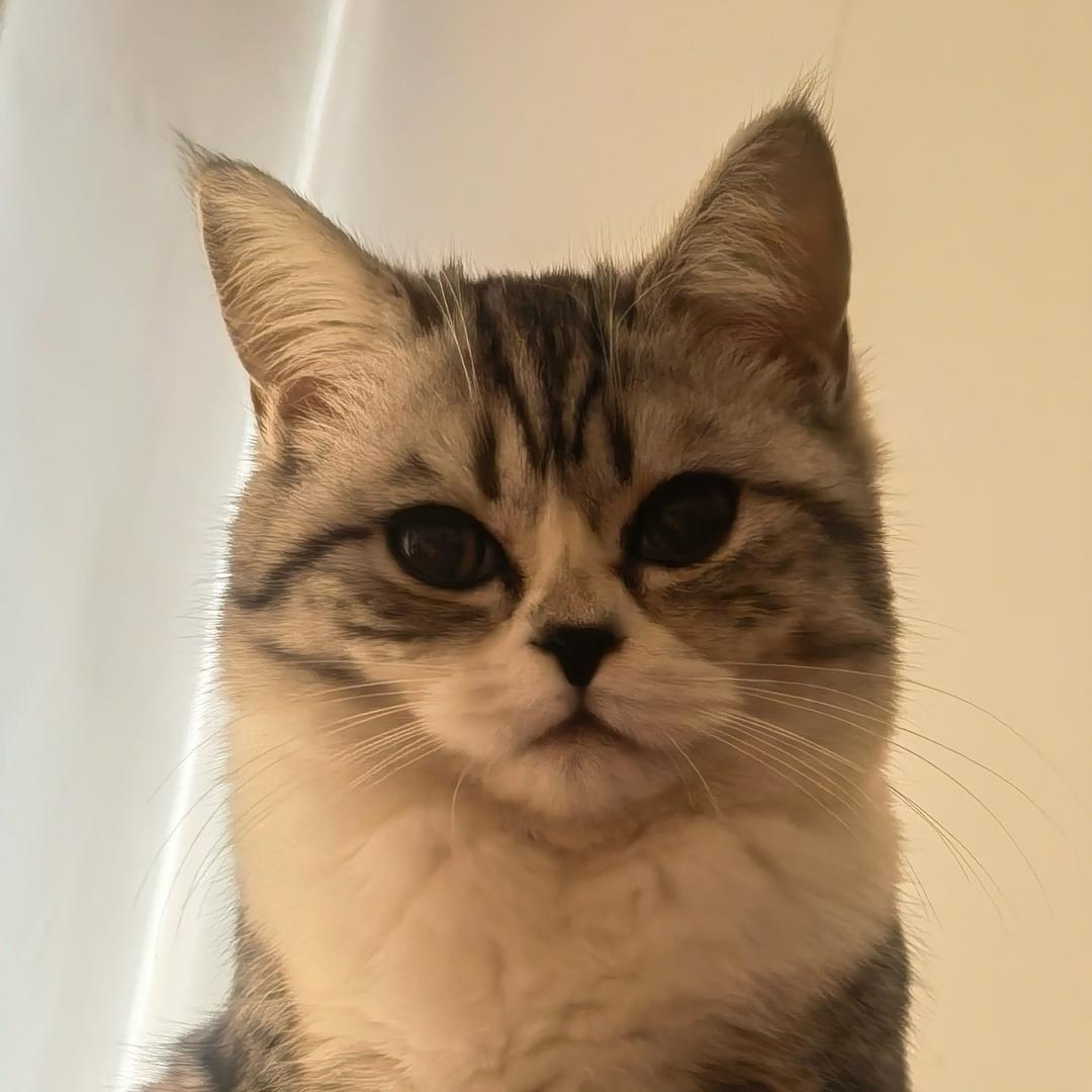 雾䅰