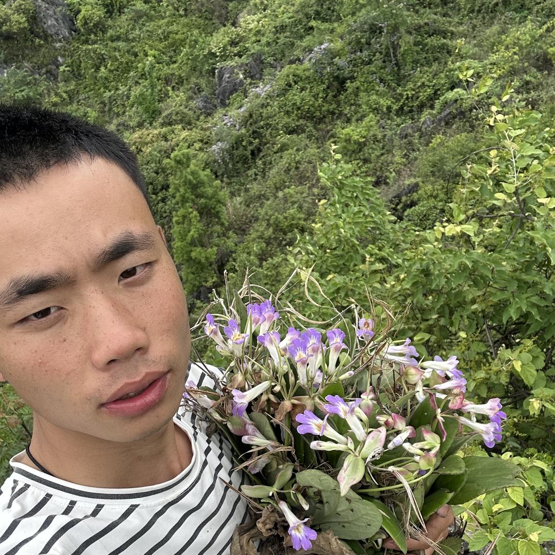 浪涛臻选阁