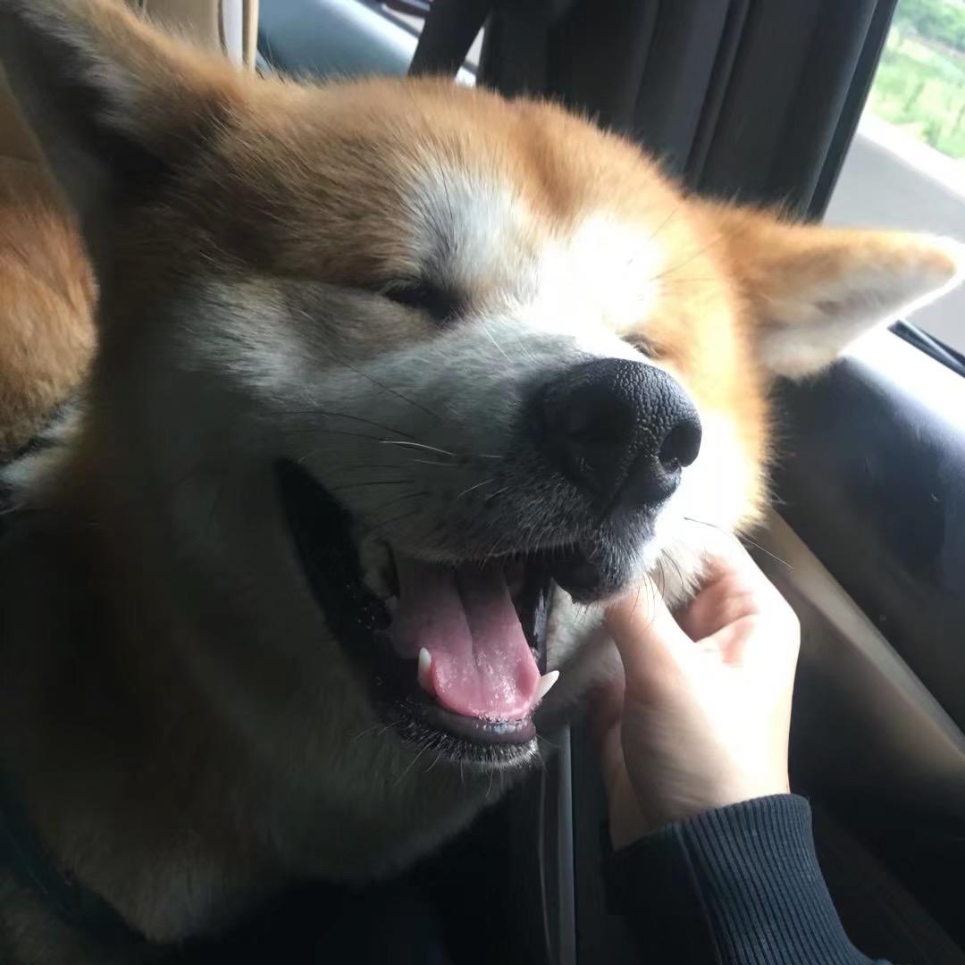 晴天sun